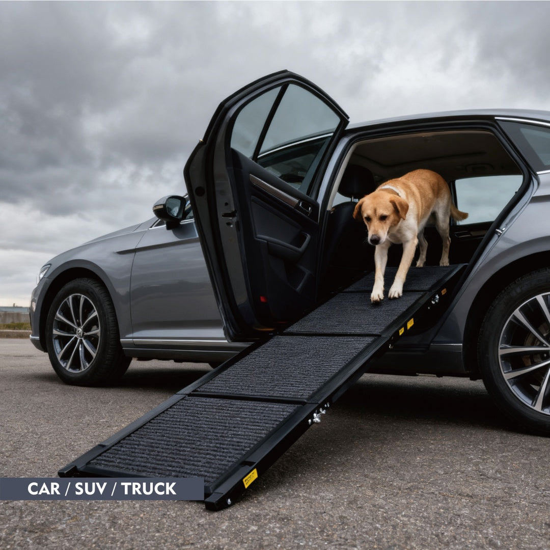 Extra Long Dog Ramp for Car – 71” Portable Foldable Pet Ramp for SUVs, Trucks & Large Dogs