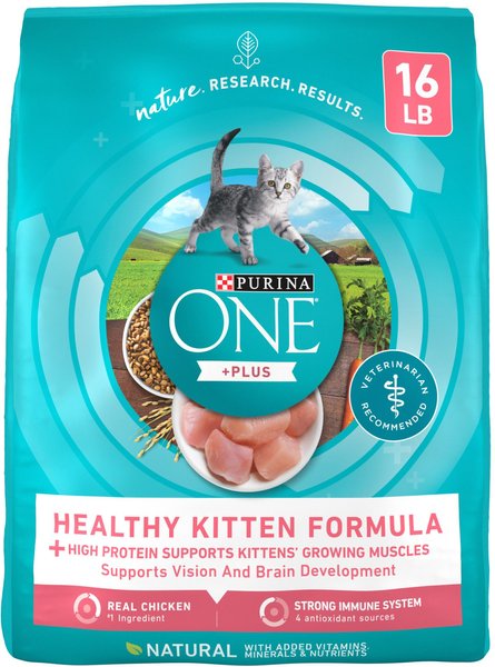 Purina ONE +Plus Healthy Kitten Formula Natural Dry Cat Food