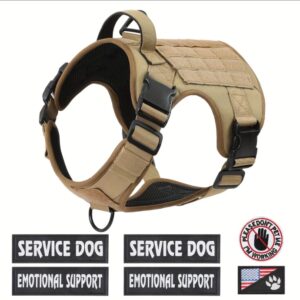 The Pack Harness