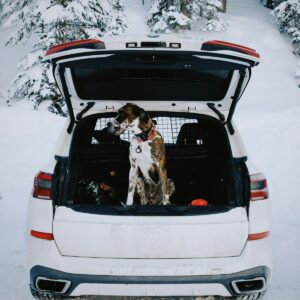Only4MyPets Trail Guard dog cargo liner for SUV